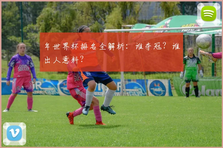 年世界杯排名全解析：谁夺冠？谁出人意料？