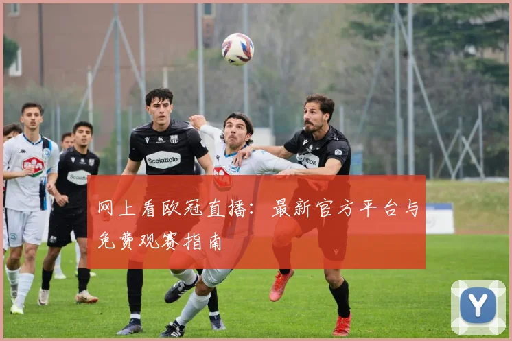 网上看欧冠直播：最新官方平台与免费观赛指南