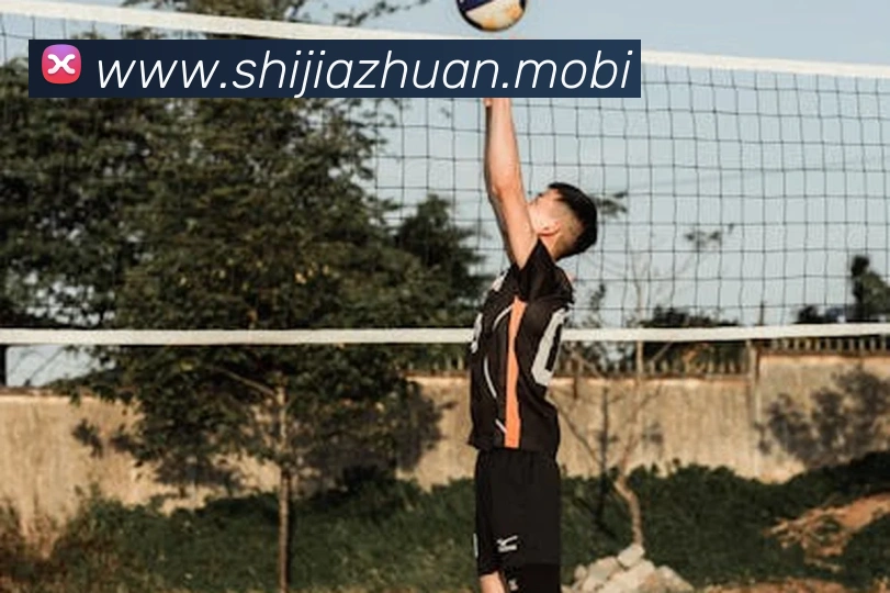 开云手机在线登陆入口平台生态图