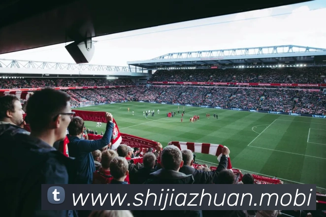 开云手机在线登陆入口APP 封面图