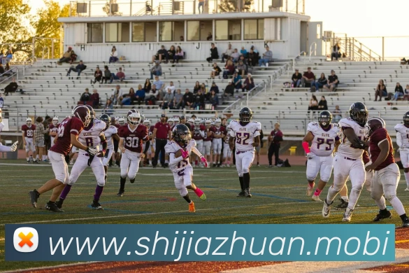 数据防护可视化